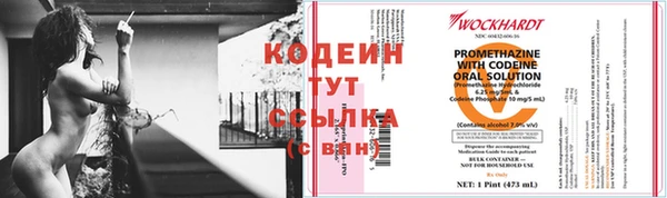 молекула духа Белокуриха