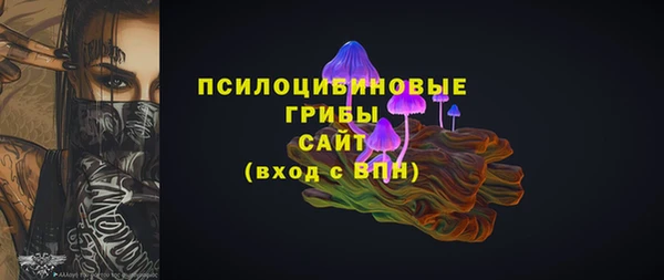 молекула духа Белокуриха