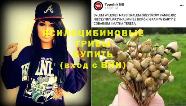 MDMA Premium VHQ Беломорск