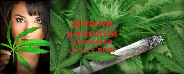 молекула духа Белокуриха