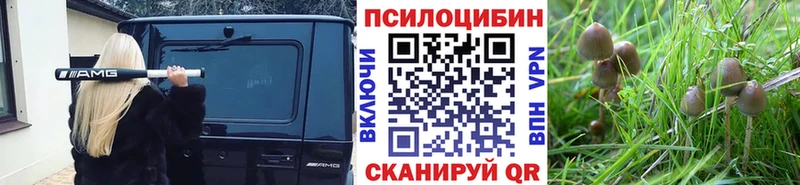 Псилоцибиновые грибы прущие грибы  блэк спрут ССЫЛКА  Шарыпово 